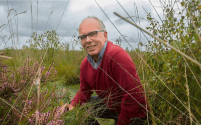 Megaklus: Bargerveen in Dagblad van het Noorden