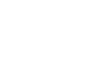 Logo Prolander Wit