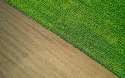 Kavelovergang Nieuw-Schoonebeek: update januari