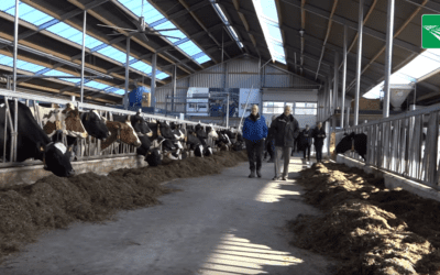 Boeren in de grensstreek: Bargerveen in Nieuwe Oogst TV