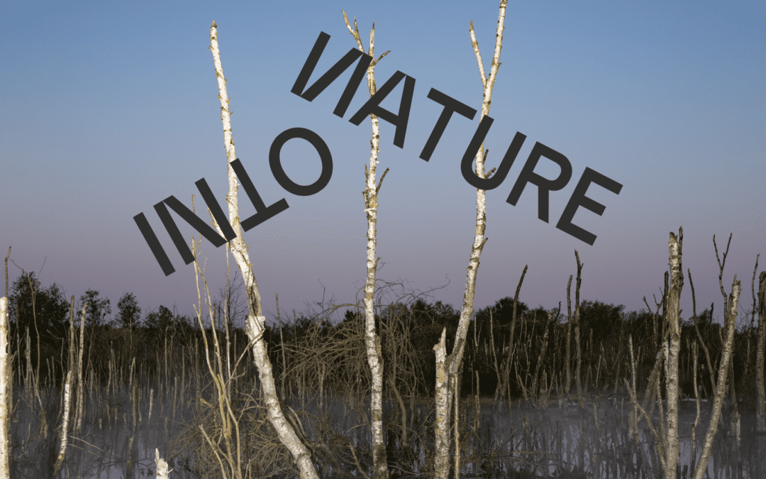 Update: uitstel ‘Art expedition Into Nature’