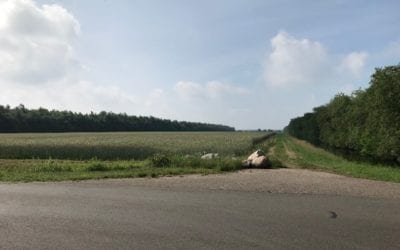 Kamperen in een fraai stukje natuur