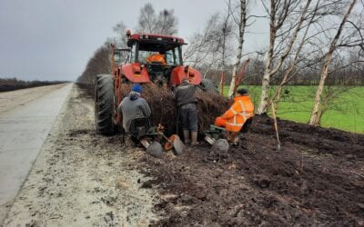 Werkzaamheden, kappen en voorbereiding nieuwe leemruggen