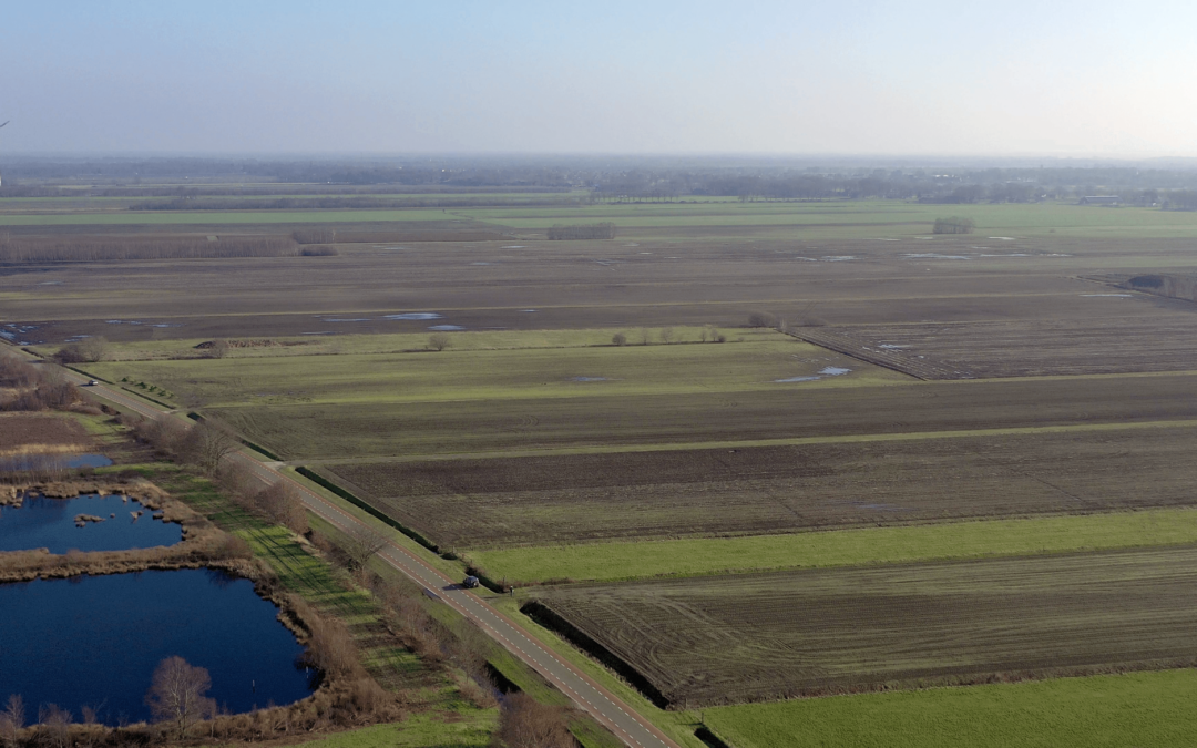 Stand van zaken waterpeil landbouwgebied Bargerveen