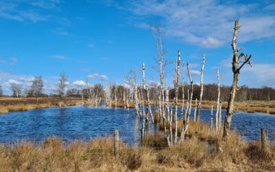 Gemeente Emmen wordt bevoegd gezag voor Buffer Zuid