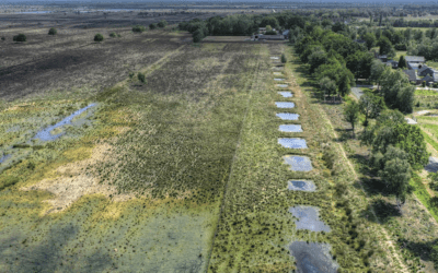 Werkzaamheden, herstel en behoud Schoonebeekerveld