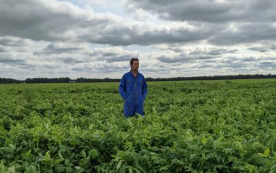 ‘Je zou bijna zeggen dat het hier vanzelf groeit’