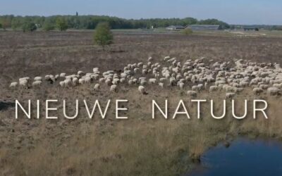 Video: ontwikkeling buffer Noord-Oost