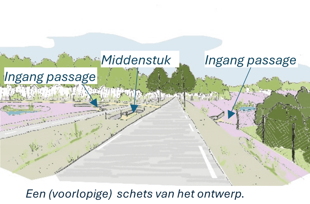 Landschapsecoloog Michiel Eijkelkamp over het nut van faunapassages