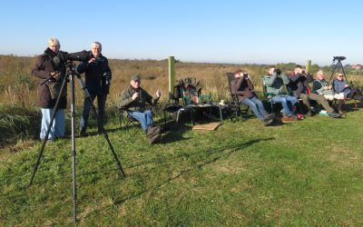 EuroBirdwatch op de trektelheuvel in het Bargerveen