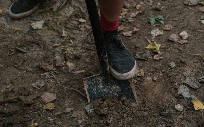 Waterschap start werkzaamheden herinrichting Schoonebeekerdiep